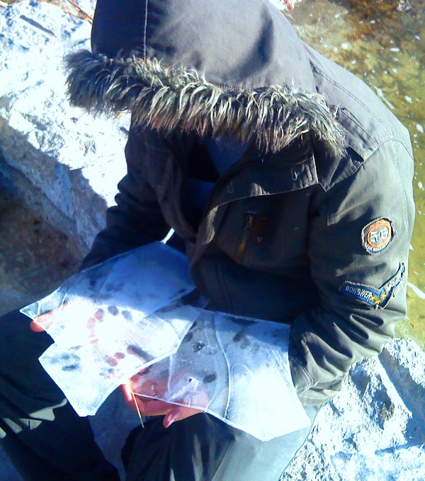 365o5wzxdmuouz61icm7.jpg