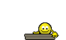 7m38deq5wk96qn2qtngj.gif