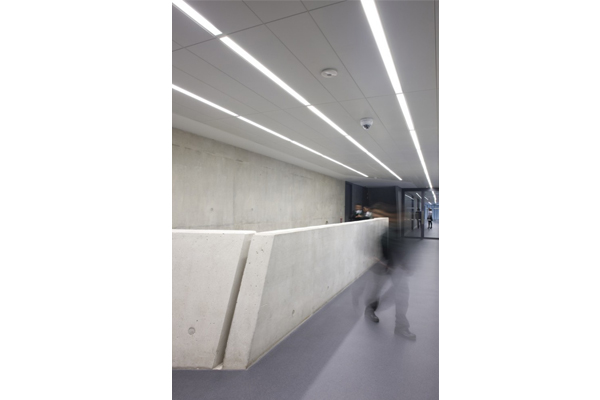 i8179kob8fd5w1s5utt.jpg