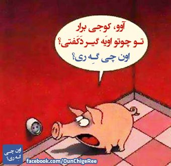 s8zcyf58da9iwtilxx68.jpg