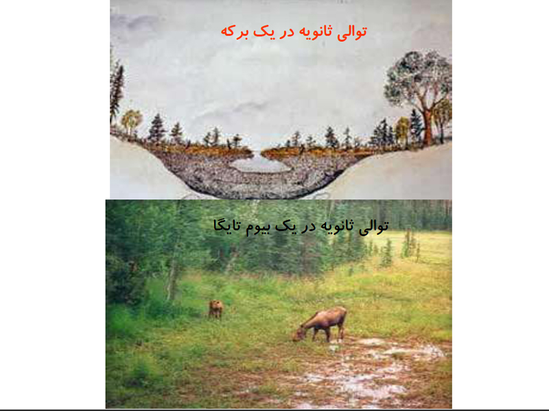 zxrntd5w8fj4jkkqf8mz.jpg